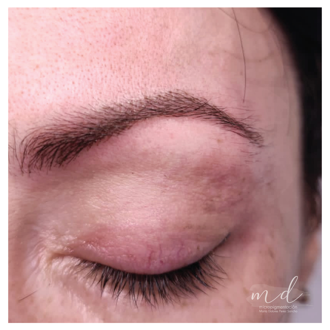 Micropigmentación en Cejas en Barcelona 111